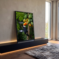 Tucano de bico laranja comendo mamão em pé de papaia com folhagem verde ao fundo, quadro decorativo