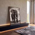 Elefante africano de presas longas em fotografia sépia sob céu nublado, quadro decorativo