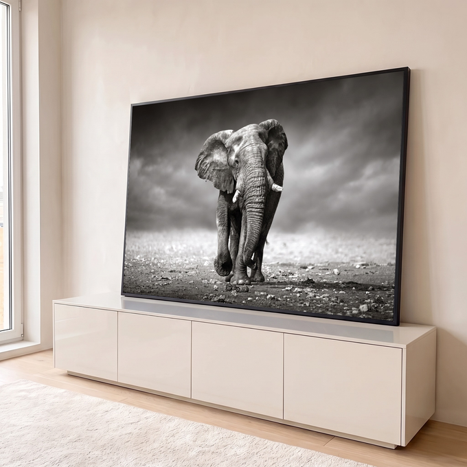 Quadro Decorativo Grande Elefante Africano para Sala Preto | quadros decorativos para sala | elefante africano em preto e branco caminhando de frente com orelhas abertas | em Quadros para Sala | Porao dos Quadros