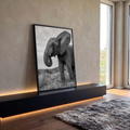 Elefante africano de orelha aberta e tromba enrolada visto de baixo em preto e branco, quadro decorativo
