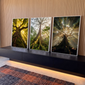 Quadro Decorativo Kit 3 Telas Árvores da Floresta para Sala | quadros decorativos para sala | três árvores de floresta vistas de baixo com raios de sol entre as folhas | em Quadros para Sala | Porao dos Quadros