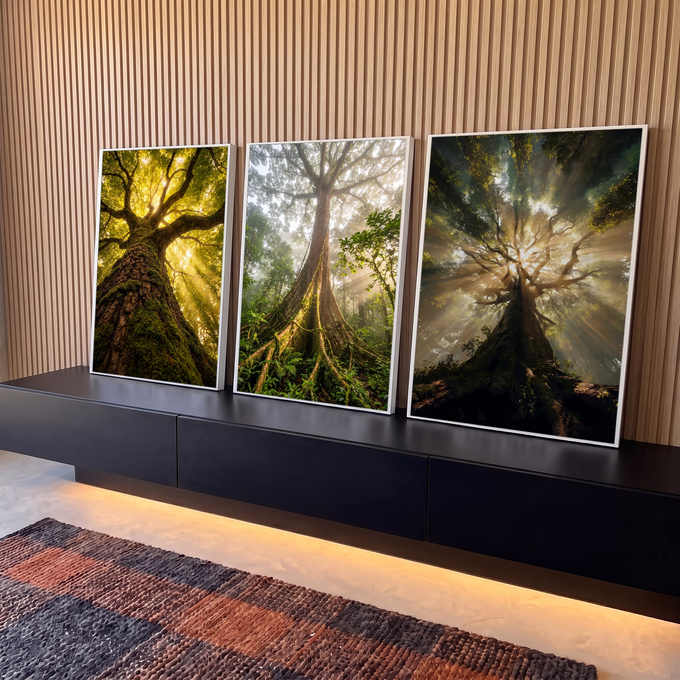 Quadro Decorativo Kit 3 Telas Árvores da Floresta para Sala | quadros decorativos para sala | três árvores de floresta vistas de baixo com raios de sol entre as folhas | em Quadros para Sala | Porao dos Quadros