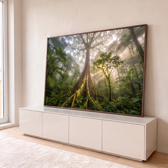 Árvore gigante com raízes com musgo em floresta tropical com raios de sol na neblina, quadro decorativo