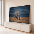 Quadro Decorativo Grande Elefante com Presas para Sala Azul | quadros decorativos para sala | elefante com grandes presas caminhando em campo de capim seco sob céu azul escuro | em Quadros para Sala | Porao dos Quadros