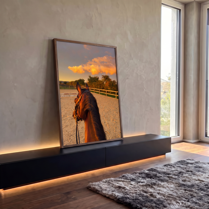 Quadro Decorativo Grande Cavalo em Arena para Sala Marrom | quadros decorativos para sala | cavalo castanho visto de cima em arena ao pôr do sol dourado | em Quadros para Sala | Porao dos Quadros