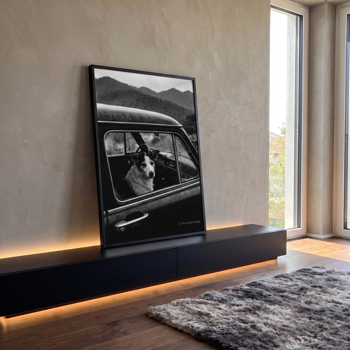 Cachorro olhando pela janela de carro antigo na chuva com montanhas, foto preto e branco, quadro decorativo