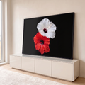 Quadro Decorativo Grande Hibiscos Branco para Sala Preto | quadros decorativos para sala | duas flores de hibisco, branca e vermelha, em close-up sobre fundo preto | em Quadros para Sala | Porao dos Quadros