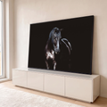 Cavalo negro com cabeçada de couro, luz lateral e brilho no pelo sobre fundo preto, quadro decorativo