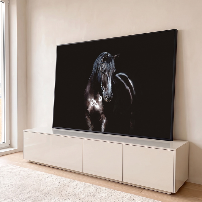 Cavalo negro com cabeçada de couro, luz lateral e brilho no pelo sobre fundo preto, quadro decorativo