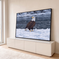 Quadro Decorativo Grande Águia Americana Branco para Sala | quadros decorativos para sala | águia de cabeça branca pousada na neve com montanhas e água escura ao fundo | em Quadros para Sala | Porao dos Quadros