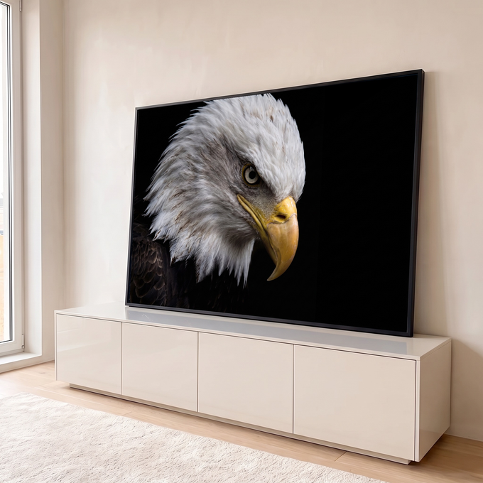 Quadro Decorativo Grande Águia Americana para Sala Preto | quadros decorativos para sala | águia careca em close, bico amarelo, fundo preto, olhar fixo | em Quadros para Sala | Porao dos Quadros