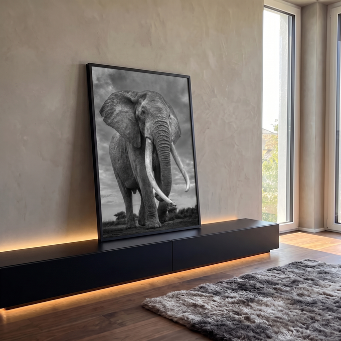 Elefante africano de presas longas caminhando sob céu nublado em preto e branco, quadro decorativo