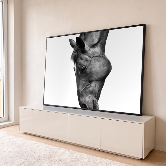 Foto em preto e branco da cabeça de um cavalo inclinada, em close, sobre fundo claro, quadro decorativo