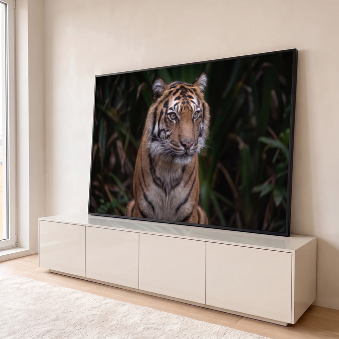 Quadro Decorativo Grande Tigre Olhar Fixo Laranja para Sala | quadros decorativos para sala | tigre em close com olhos claros e fundo de folhagem verde desfocada | em Quadros para Sala | Porao dos Quadros
