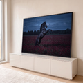 Cavalo negro empinado em campo de trevos vermelhos sob céu azul ao entardecer, quadro decorativo