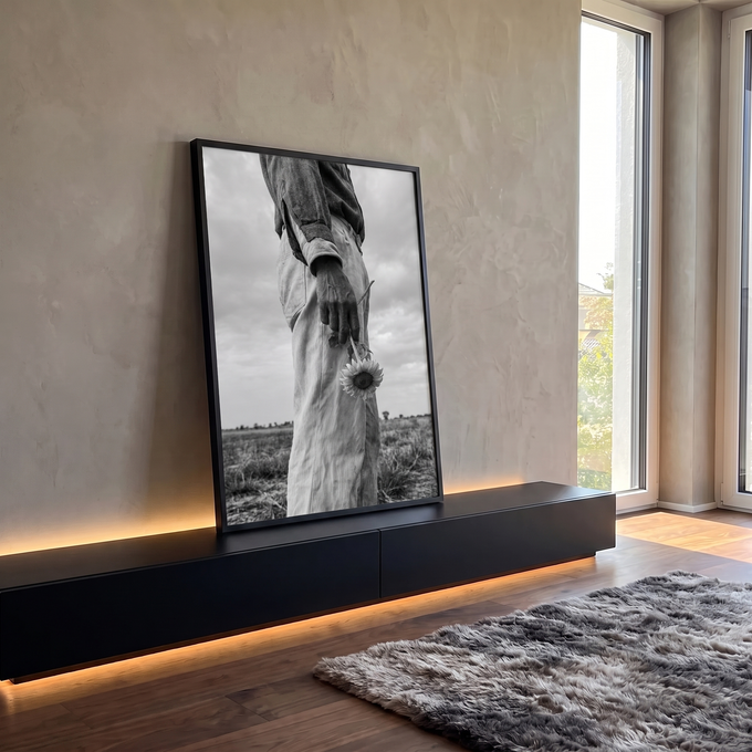 Quadro Decorativo Girassol na Mão em Preto e Branco | quadros decorativos para sala | mão segurando girassol invertido em fotografia preto e branco num campo aberto | em Quadros para Sala | Porao dos Quadros
