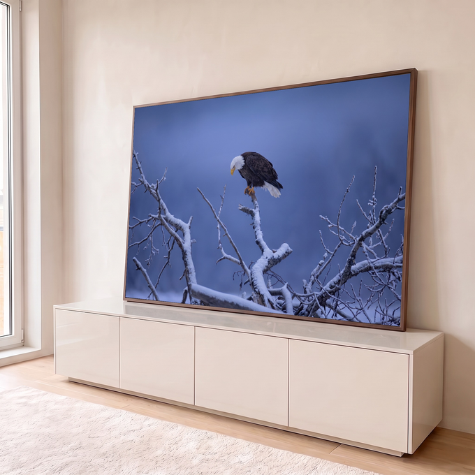 Quadro Decorativo Grande Águia Galho Nevado para Sala | quadros decorativos para sala | águia americana pousada em galho nevado contra céu azul de entardecer | em Quadros para Sala | Porao dos Quadros
