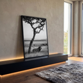 Leão majestoso em pé sob acácia na savana africana, fotografia em preto e branco, quadro decorativo