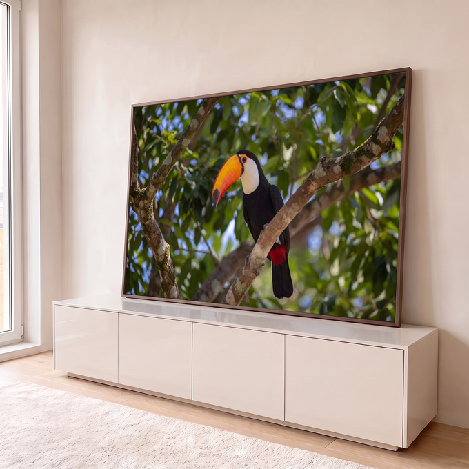 Quadro Decorativo Grande Tucano de Bico para Sala Verde | quadros decorativos para sala | tucano de bico laranja pousado em galho entre folhas verdes | em Quadros para Sala | Porao dos Quadros
