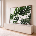 Quadro Decorativo Grande Folhas de Costela para Sala Verde | quadros decorativos para sala | folhas verdes de Monstera recortadas vistas de baixo contra fundo branco | em Quadros para Sala | Porao dos Quadros