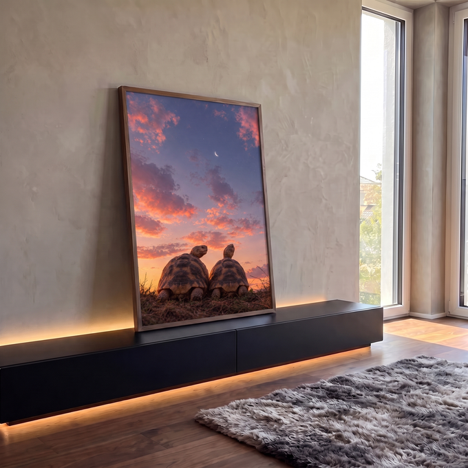 Quadro Decorativo Grande Tartarugas Observando para Sala | quadros decorativos para sala | duas tartarugas em primeiro plano contra céu rosa de pôr do sol com lua crescente | em Quadros para Sala | Porao dos Quadros