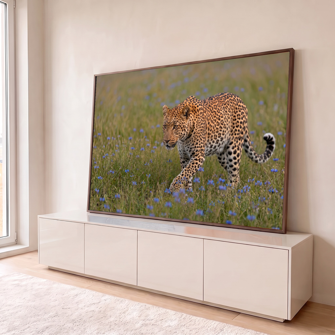 Quadro Decorativo Grande Leopardo Felino Selvagem para Sala | quadros decorativos para sala | leopardo caminhando por campo de grama com flores azuis silvestres | em Quadros para Sala | Porao dos Quadros