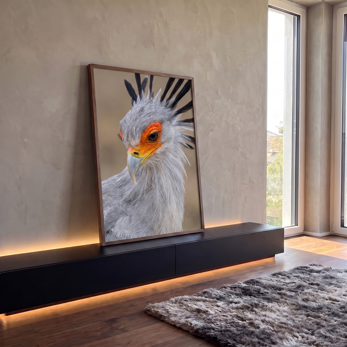 Close de pássaro secretário com penas cinza, crista preta e olho laranja, quadro decorativo