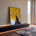Ipê amarelo florido visto de baixo, tronco robusto, céu azul e sol entre galhos, quadro decorativo