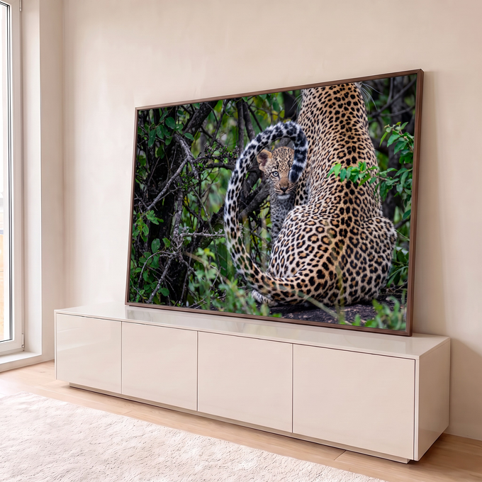 Filhote de leopardo espiando sob a cauda da mãe em meio à mata verde, fotografia, quadro decorativo