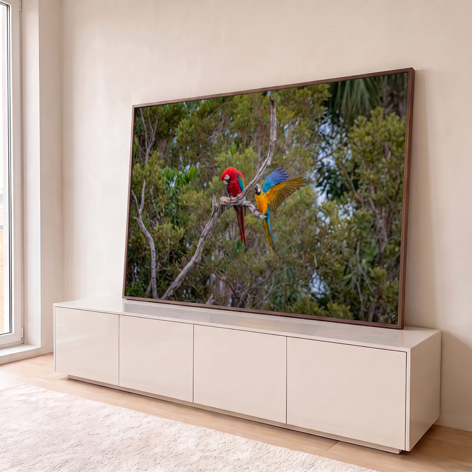 Arara vermelha e arara azul e amarela de asas abertas num galho seco na floresta verde, quadro decorativo