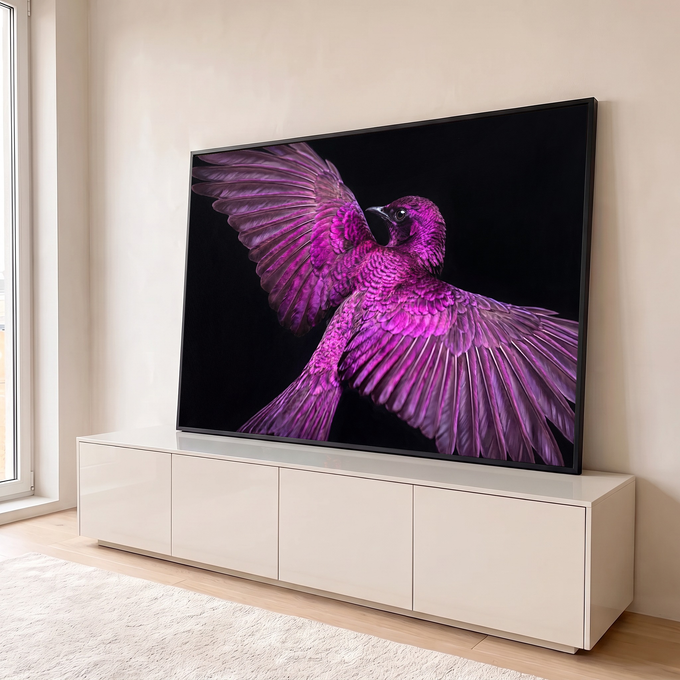 Quadro Decorativo Grande Pássaro de Asas para Sala Rosa | quadros decorativos para sala | pássaro com asas abertas em tons de rosa e roxo sobre fundo preto | em Quadros para Sala | Porao dos Quadros