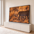Leopardo de costas com a cauda erguida caminhando no capim dourado da savana ao entardecer, quadro decorativo