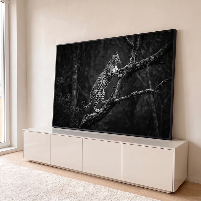 Quadro Decorativo Grande Leopardo Escalando para Sala Preto | quadros decorativos para sala | leopardo escalando galho seco em fotografia preto e branco de floresta | em Quadros para Sala | Porao dos Quadros