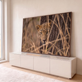 Quadro Decorativo Grande Leopardo Felino para Sala Marrom | quadros decorativos para sala | leopardo espreitando atrás de tronco de árvore com olhar intenso entre galhos secos | em Quadros para Sala | Porao dos Quadros