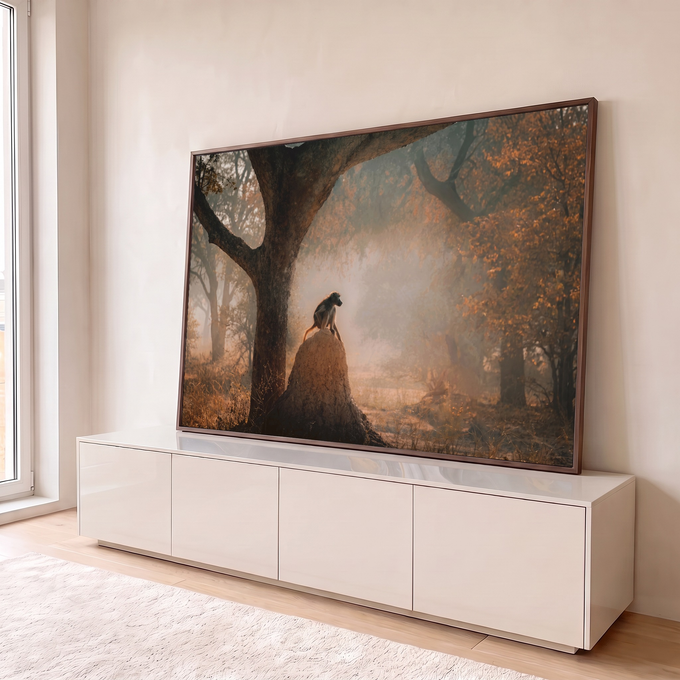 Babuíno sentado sobre cupinzeiro em floresta africana com névoa alaranjada, quadro decorativo