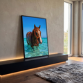 Cavalo alazão com cabresto laranja dentro do mar turquesa sob céu azul, quadro decorativo