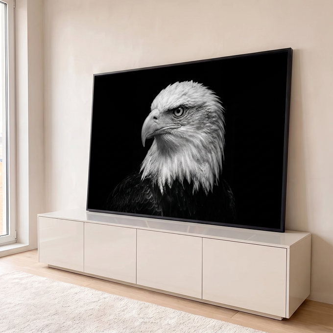 Águia de cabeça branca de perfil em fotografia preto e branco sobre fundo preto, quadro decorativo