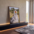 Pássaro secretário de penas cinza, penacho negro e rosto laranja em fotografia de perto, quadro decorativo