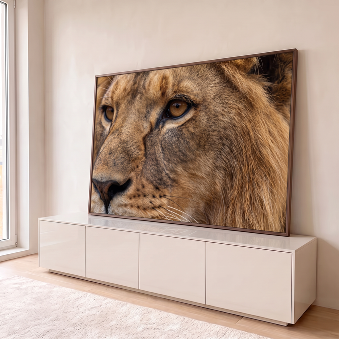 Quadro Decorativo Grande Leão em Close para Sala Marrom | quadros decorativos para sala | close do rosto de leão com olhos âmbar e juba dourada detalhada | em Quadros para Sala | Porao dos Quadros