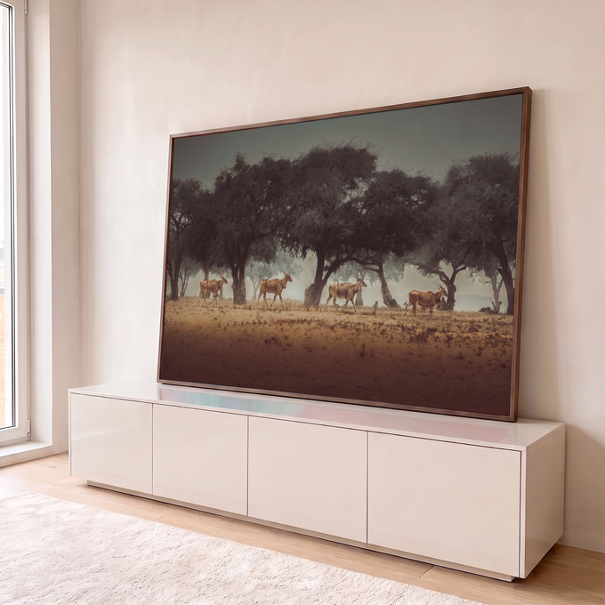 Quatro antílopes elandes caminhando sob acácias na savana africana enevoada, quadro decorativo