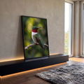 Beija-flor de garganta vermelha pousado em galho com fundo verde desfocado em bokeh, quadro decorativo