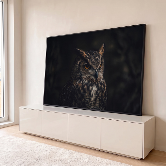 Coruja-orelhuda com olhos âmbar e penas marrons em fundo escuro, fotografia, quadro decorativo