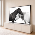 Dois cavalos abraçados, um escuro e um branco malhado, em fotografia sobre fundo branco, quadro decorativo