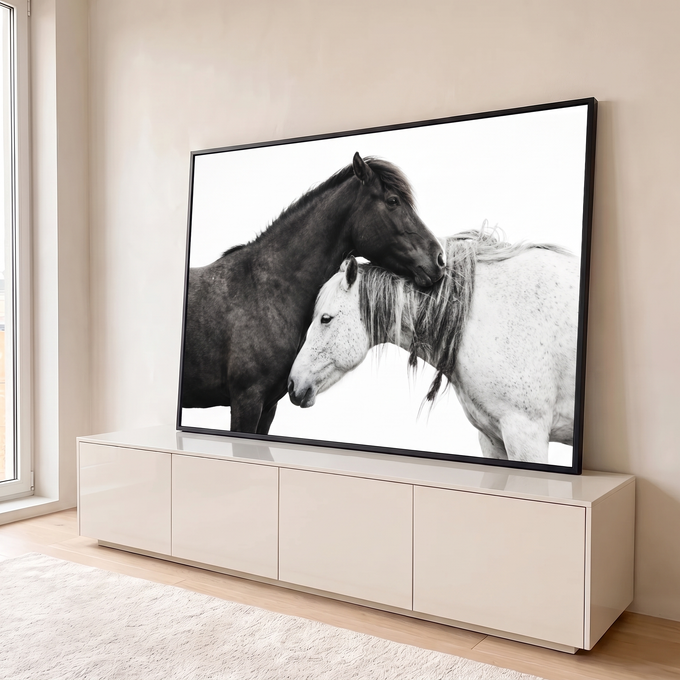 Dois cavalos abraçados, um escuro e um branco malhado, em fotografia sobre fundo branco, quadro decorativo