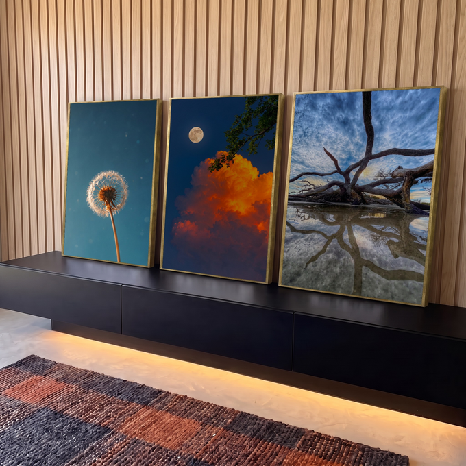 Quadro Decorativo Kit 3 Telas Paisagens com Lua para Sala | quadros decorativos para sala | três cenas de natureza dente-de-leão, lua com nuvem dourada e árvore seca refletida na água | em Quadros para Sala | Porao dos Quadros