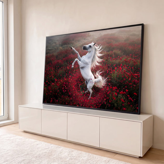 Quadro Decorativo Grande Cavalo Empinado para Sala Branco | quadros decorativos para sala | cavalo branco empinado em campo de papoulas vermelhas com pétalas flutuando | em Quadros para Sala | Porao dos Quadros