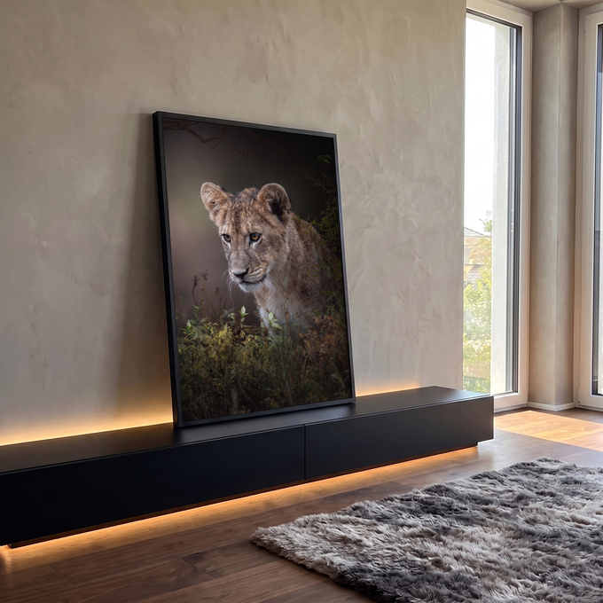 Quadro Decorativo Grande Filhote de Leão para Sala Marrom | quadros decorativos para sala | filhote de leão espreitando entre a vegetação com olhar atento e fundo escuro | em Quadros para Sala | Porao dos Quadros