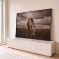 Cavalo castanho de crina loira pastando em campo seco sob céu nublado dramático, quadro decorativo