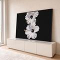 Quadro Decorativo Grande Flores Brancas de Hibisco para Sala | quadros decorativos para sala | duas flores brancas de hibisco com centro escuro e estames amarelos sobre fundo preto | em Quadros para Sala | Porao dos Quadros