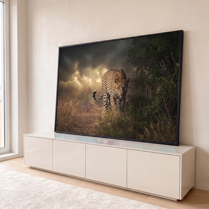 Leopardo de olhar fixo caminhando no capim seco sob céu tempestuoso com luz dourada, quadro decorativo